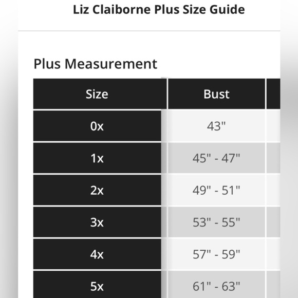 Liz Claiborne Womens Round Neck Long Sleeve Pullover Sweater Size 3X N… - Picture 5 of 5